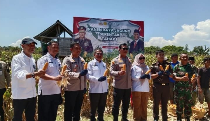 Dukung Swasembada Pangan, Kalapas Bulukumba Hadiri Panen Raya Jagung Bersama Kapolda Sulsel