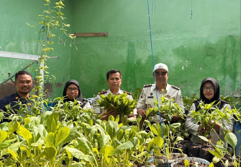 Dukung Ketahanan Pangan, Rutan Selayar Panen Sawi dan Kangkung di Area Blok Hunian
