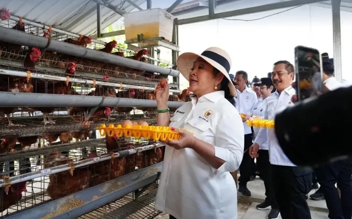 Nusakambangan Jadi Kawasan Produktif, Titiek Soeharto Apresiasi Keberhasilan Kemenimipas Bangun Kemandirian