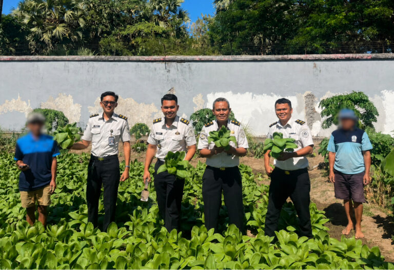 Panen 50 Kg Pakcoy, Lapas Takalar Komitmen Perkuat Ketahanan Pangan