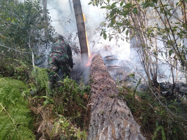 Aksi Cepat Babinsa Kodim 1409/Gowa Bersama Warga Berhasil Gagalkan Meluasnya Karhutla di Bukit Pattappang