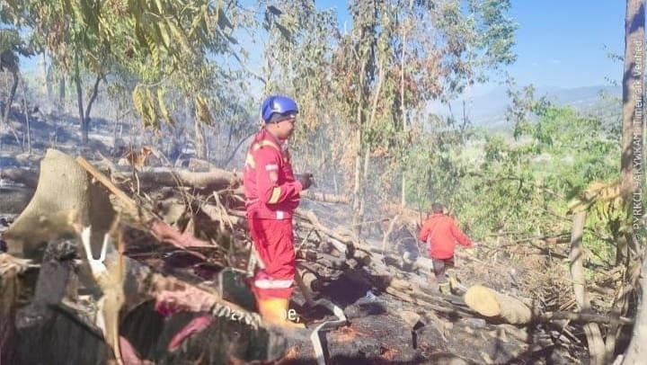 Sinergi Tanpa Batas, Babinsa Kodim 1409/Gowa Bersama Tim Gabungan Sukses Padamkan Karhutla di Parangloe dan Pallangga