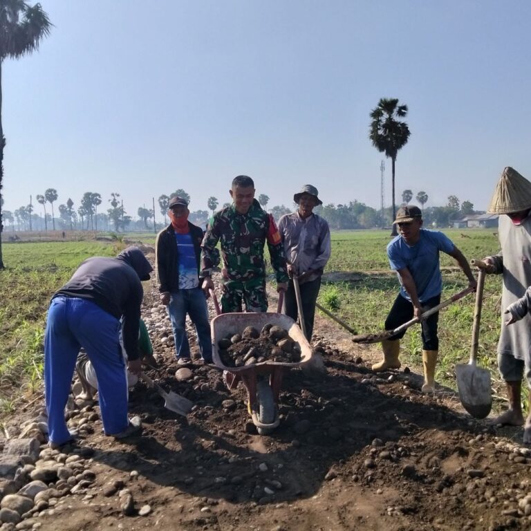 Sinergi Babinsa dan Warga Desa Bontosunggu Gotong Royong Benahi Jalan Tani Penghubung Dusun