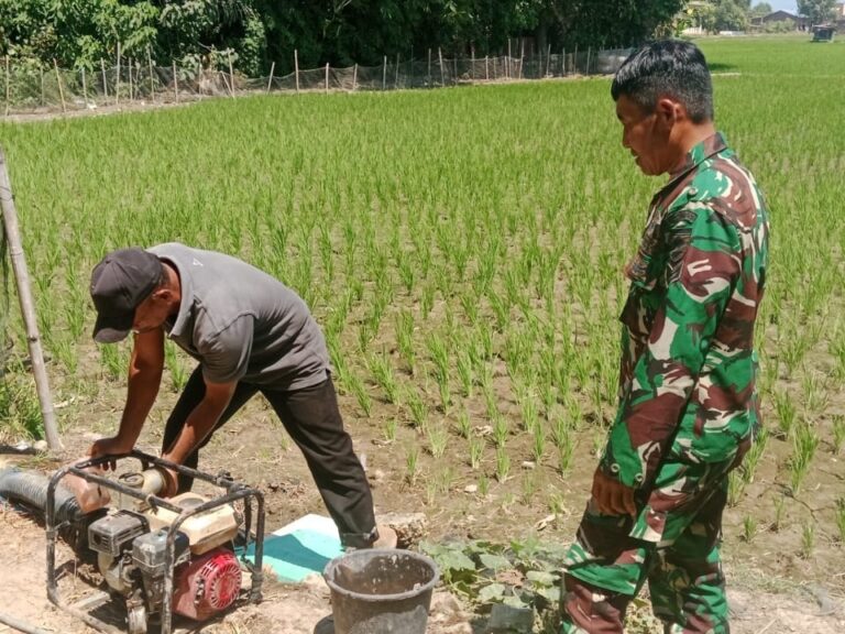 Atasi Kendala Air, Babinsa Koramil 1409-06 Bajeng Dampingi Petani Lakukan Pompanisasi di Sawah