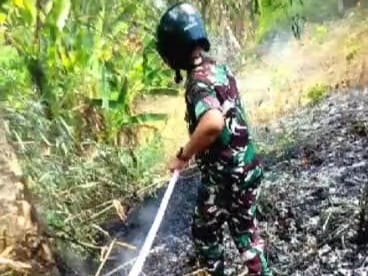 Aksi Tanggap Kodim 1409/Gowa dan Tim Gabungan Jinakkan Api di Area Lapangan Golf