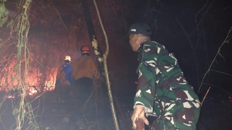 Sinergitas TNI, Damkar, dan Warga Gowa Sukses Padamkan Karhutla di Pattallasang
