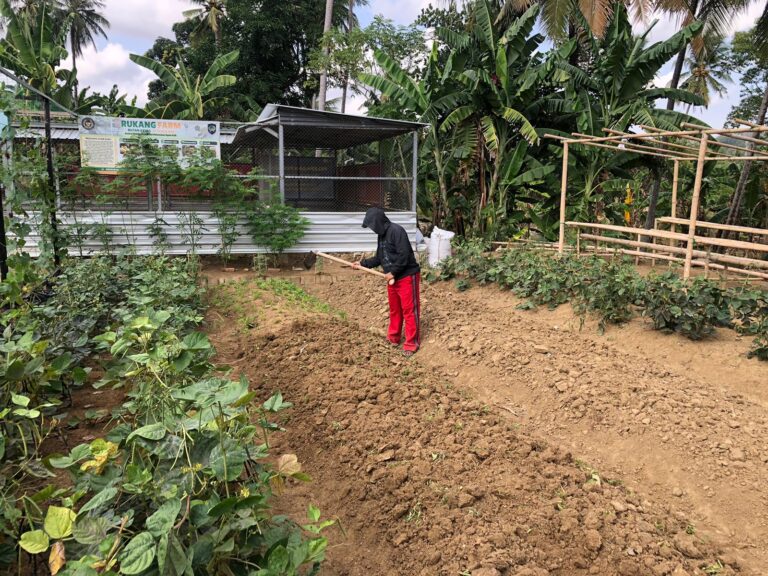 Dari Kebun hingga Kandang, Rutan Sengkang Terus Dorong Ketahanan Pangan