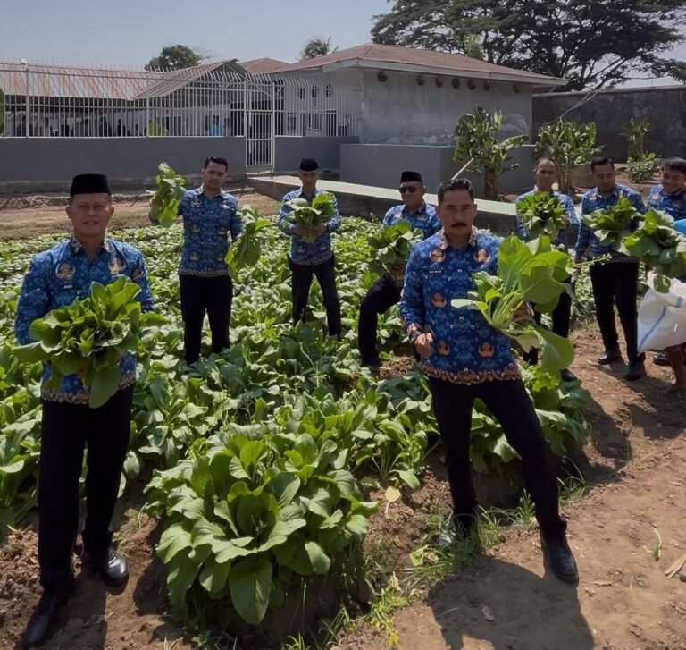 Lapas Takalar Panen 50 Kg Sawi, Komitmen Dukung Kemandirian Pangan